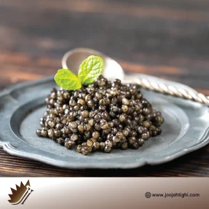 قیمت خرید و فروش اقساطی تولید و پخش خاویار سوروگا در اردبیل