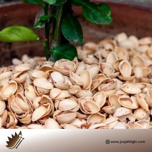 پخش عمده پوست پسته در سمنان